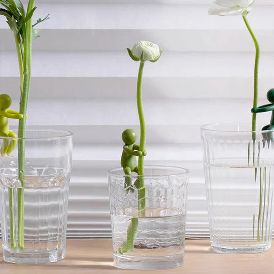 Aldorian – pomocnik w rozmnażaniu roślin