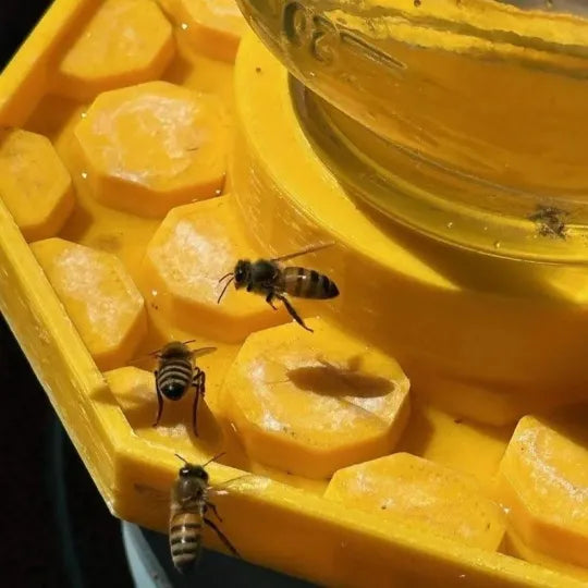 BuzzBloom – ozdobna poidło dla pszczół do ogrodów