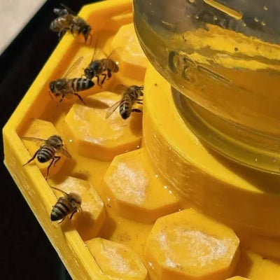 BuzzBloom – ozdobna poidło dla pszczół do ogrodów